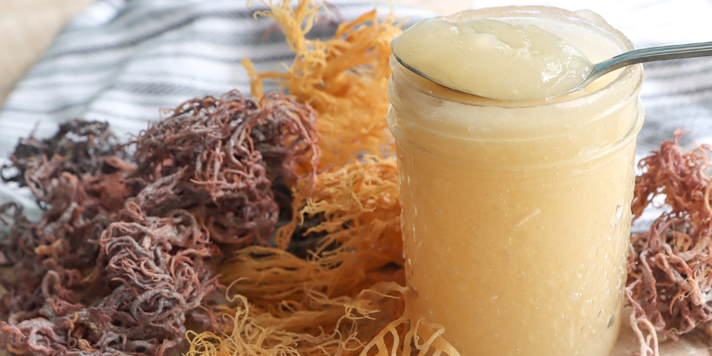 A Delicious Deep Sea Collagen-Rich Superfood